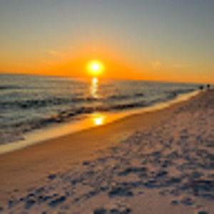 Meet your Posher, Mary waits